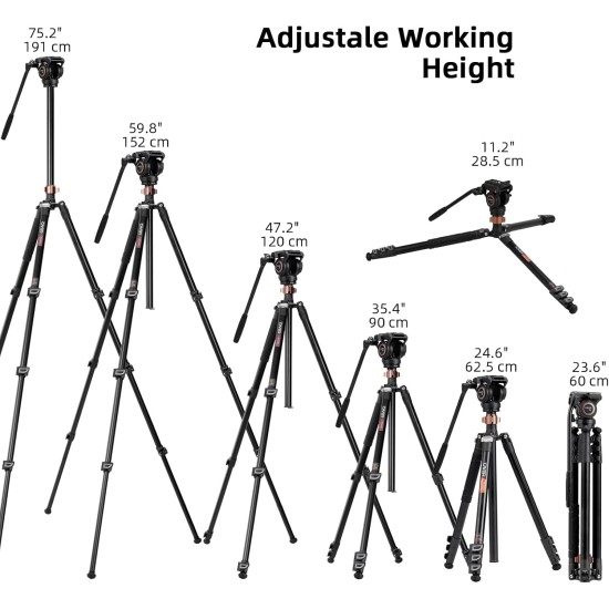 Cayer FP1450 Fluid Head Tripod, 75 inches Aluminium Video Tripod Cayer FP1450 Fluid Head Tripod, 75 inches Aluminium Video Tripod